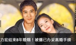 王力宏老婆最新爆料,揭秘婚姻背后的惊人真相